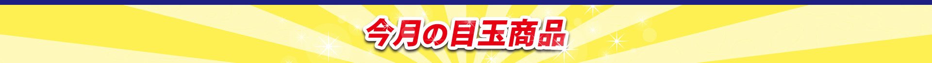今月の目玉商品