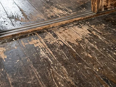 建具調整・内装修理が必要なタイミング