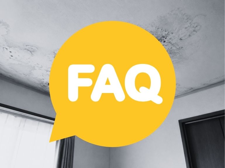 FAQ|天井クロスのカビ・シミでよくある質問