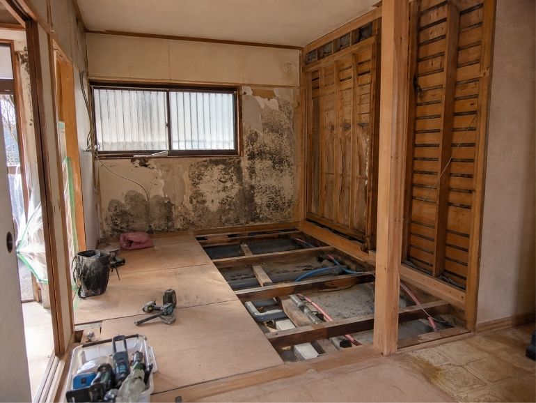 シロアリは駆除だけでなく建物の傷みも確認する